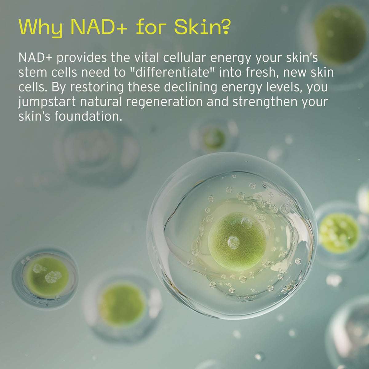 Aramore NAD Cell Energizing Treatment Skin Care for Face - Aramore Official Imagery - 8
