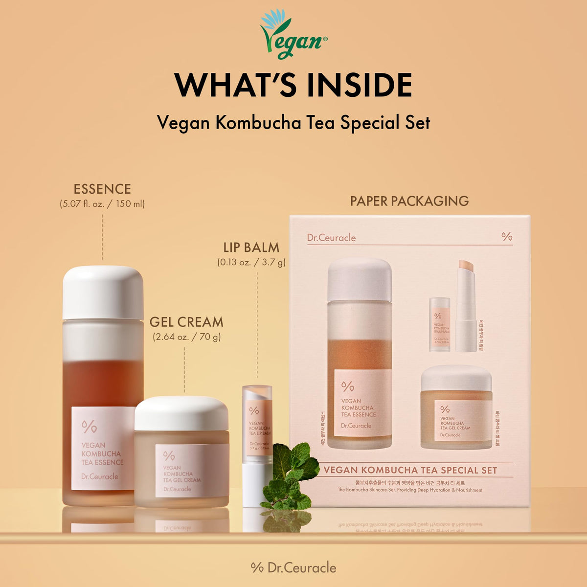 Dr Ceuracle Vegan Kombucha Tea Special Set Essence Gel Cream - Dr.Ceuracle Official Imagery - 3