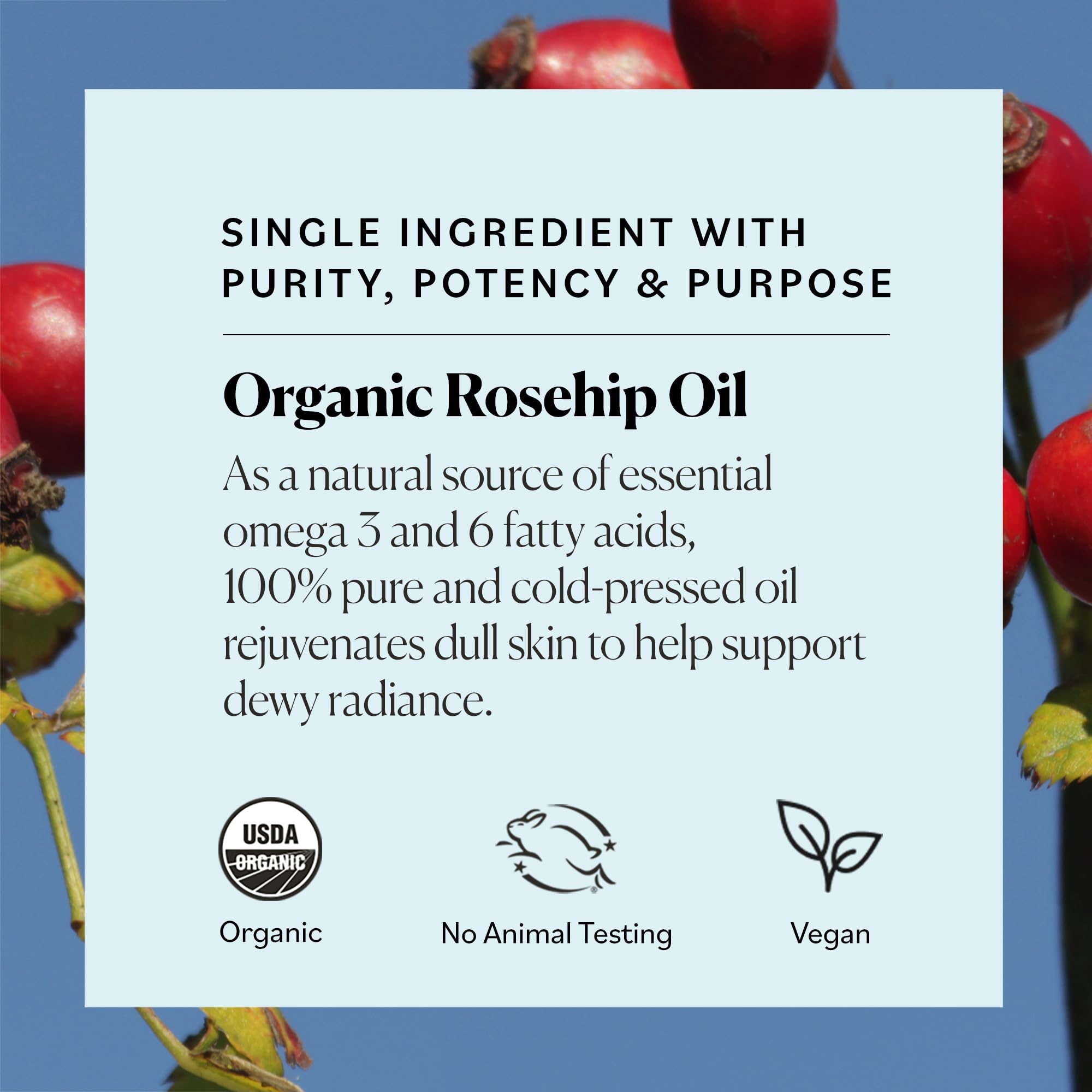Sky Organics Rosehip Oil, 100% Pure & Cold - Pressed Face Oil & Travel Size - Sky Organics Official Product View 6
