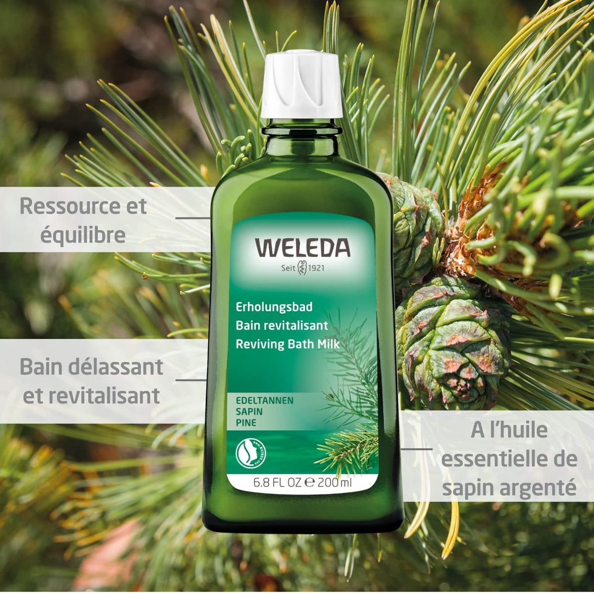 WELEDA Pine Bath Milk 200 ML - Weleda Official Imagery - 4