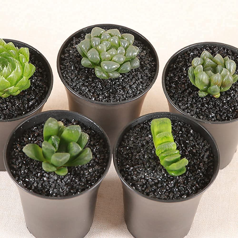 7lb Black Cactus Pea Gravel Rocks 1 4 Inch Pebbles for - Anothera Official Imagery - 4