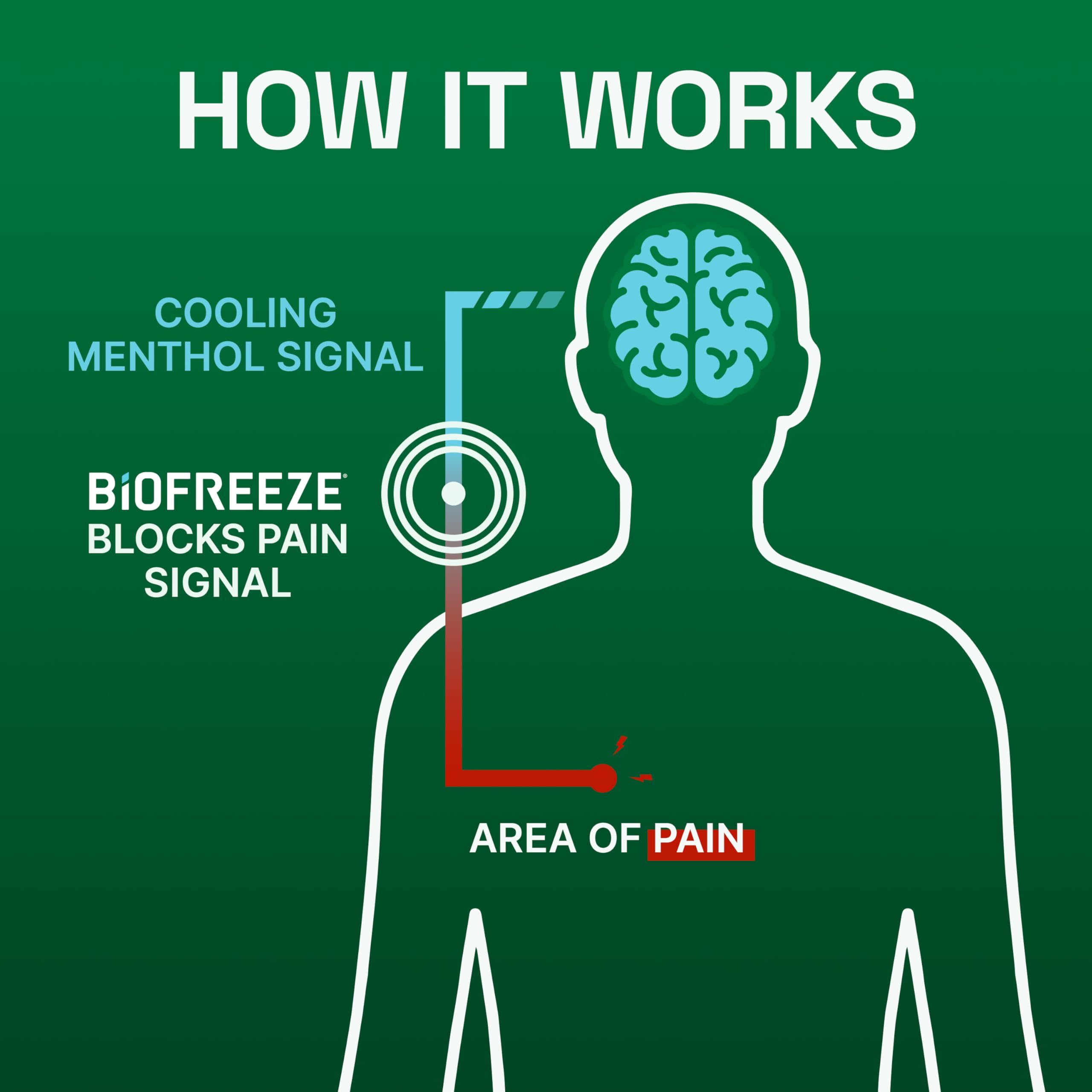 Biofreeze Large Menthol Pain Relief Patches 12ct