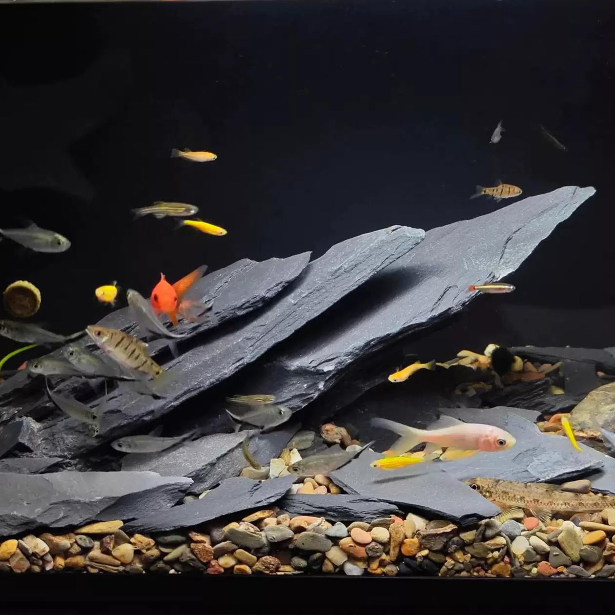 Slate Rock for Aquarium 5 7 Inch Polished Natural Stone - YISZM Official Imagery - 5