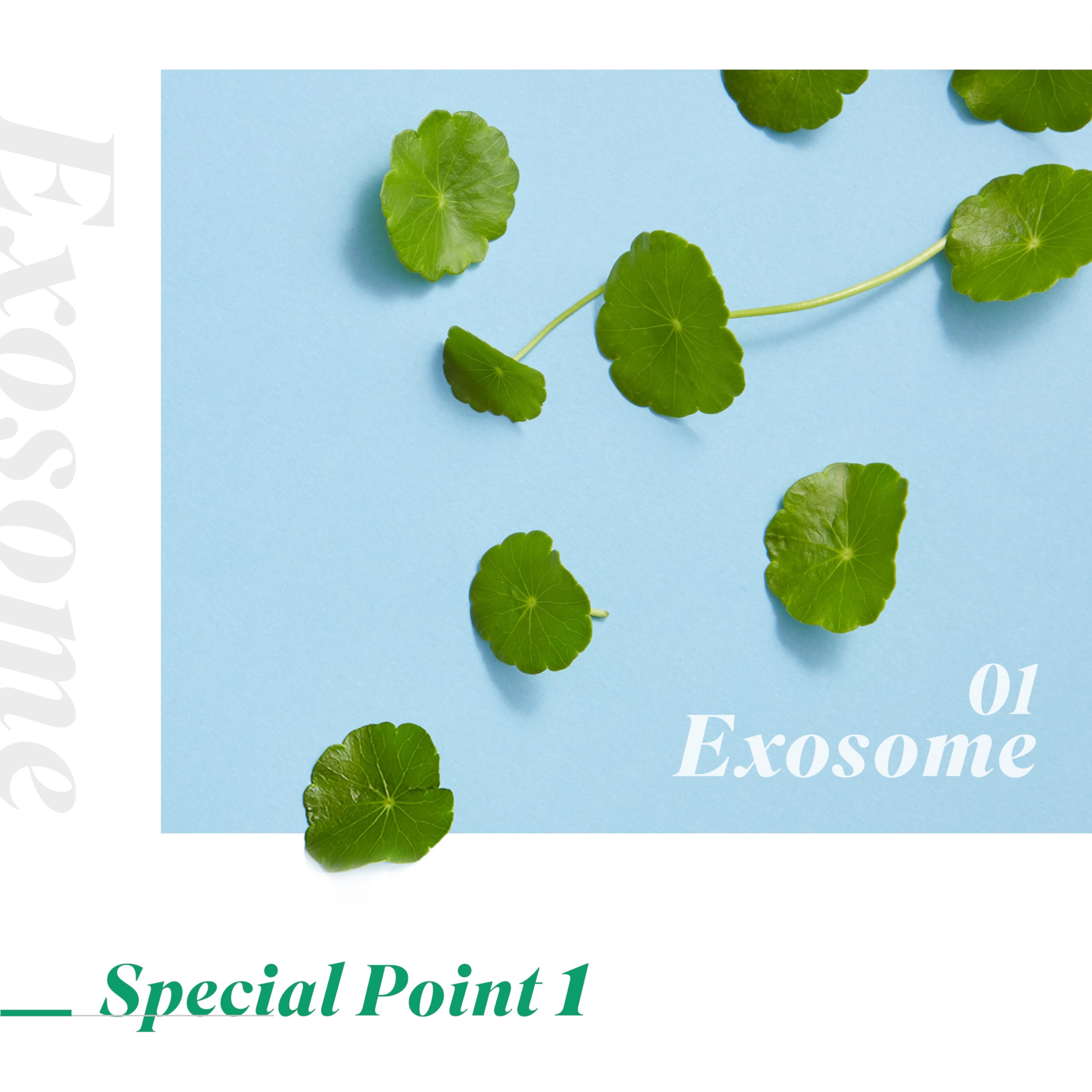 [K-Beauty] NEOGEN DERMALOGY High G Exosome Mask Sheet (39g. 5 - DERMALOGY by NEOGENLAB