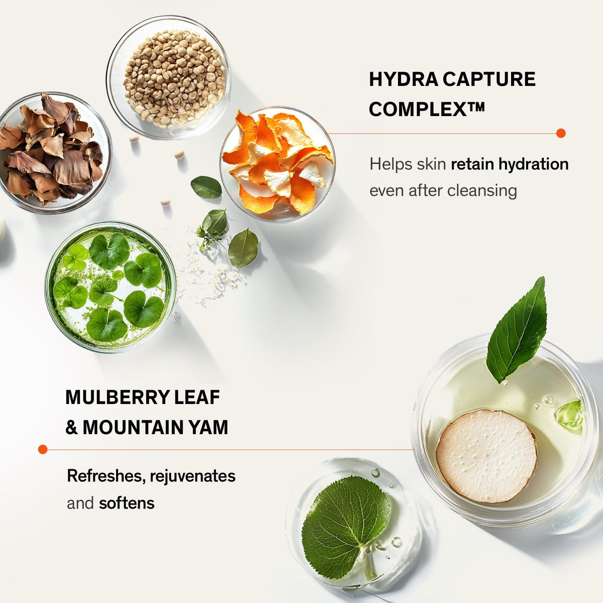 Sulwhasoo Gentle Cleansing Foam - Premium Selection Official Imagery - 5