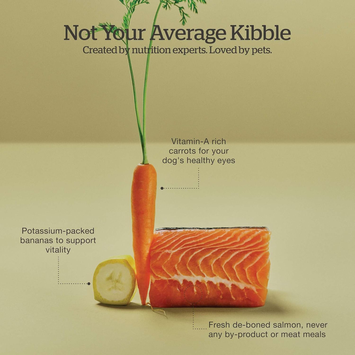 Now Fresh salmon dry dog food with bone broth coating in a 3.5 lb bag, featuring kibble pieces designed for canine nutrition.