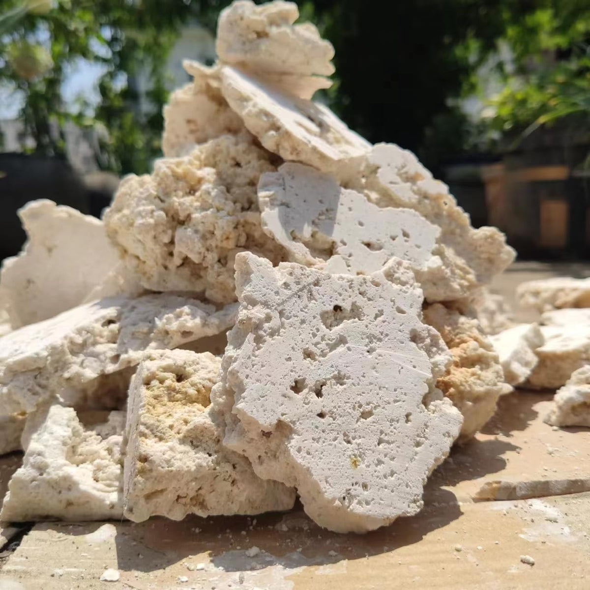 YZHZOM Dry Base Rock for Aquarium White Coral Ornament Sea - YZHZOM Official Imagery - 6