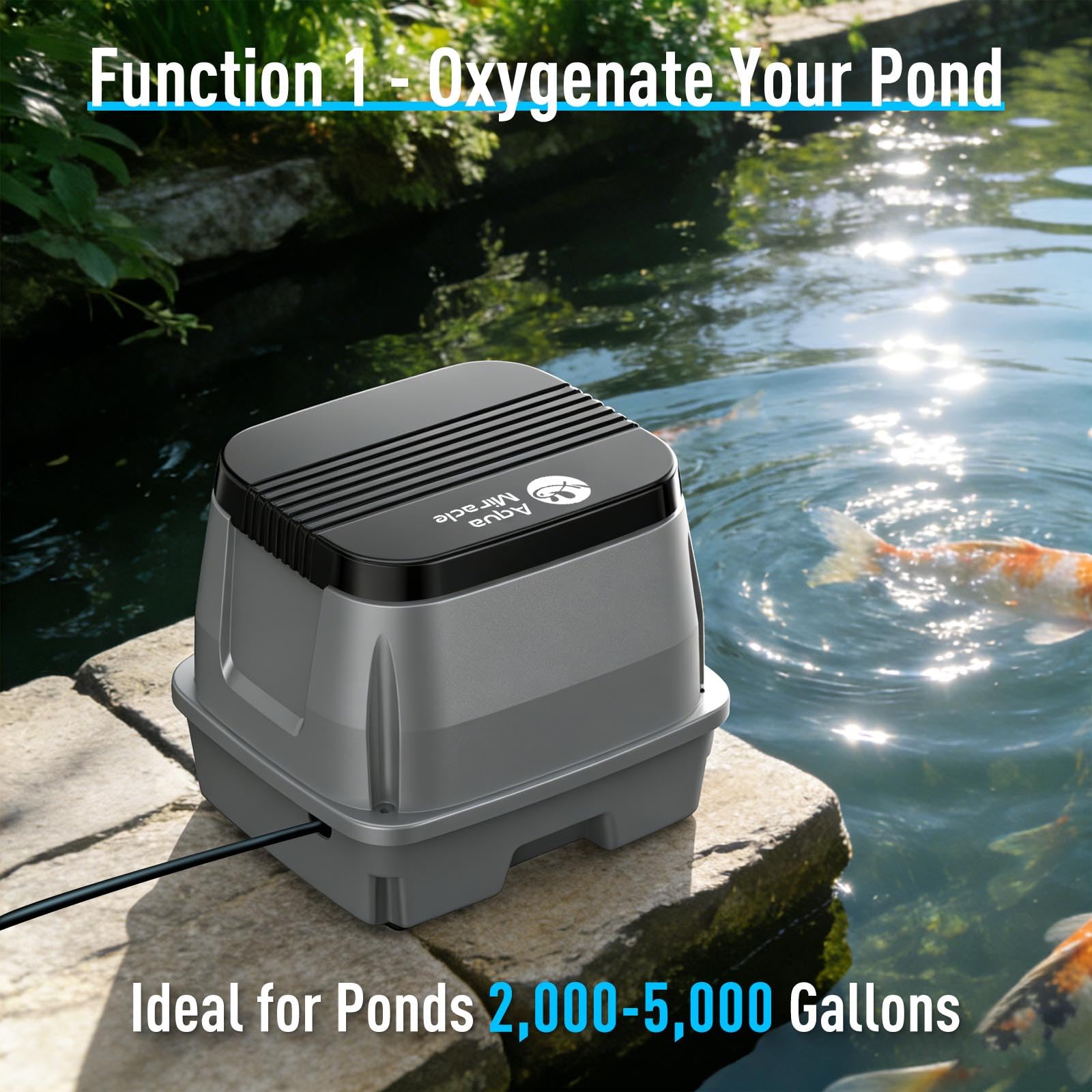 AquaMiracle Koi Pond Aerator Pond Air Pump for Outdoor Ponds 2000 - AquaMiracle Official Product View 6