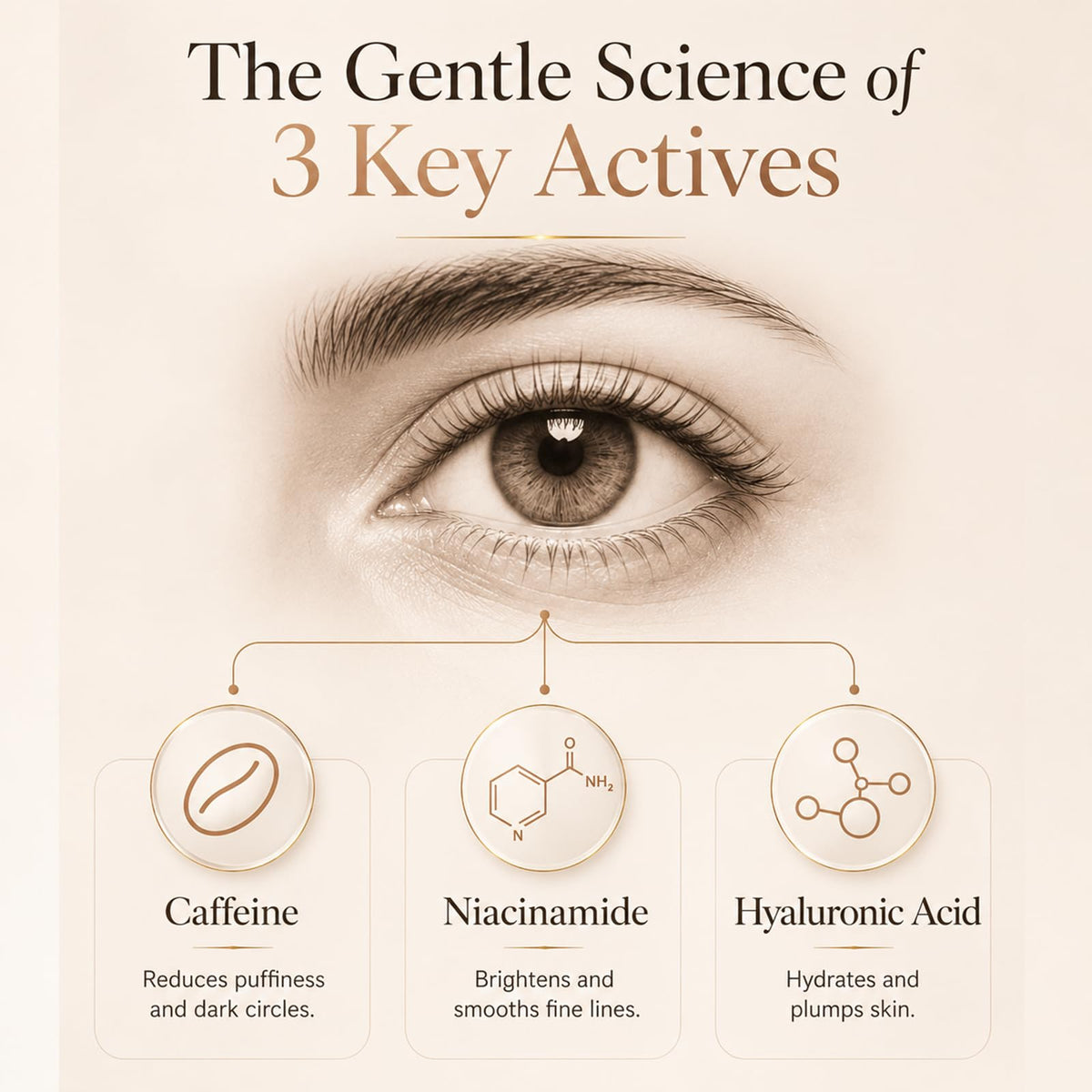Caffeine Eye Cream for Dark Circles Under Eye Serum with - Eoiroa Official Imagery - 6