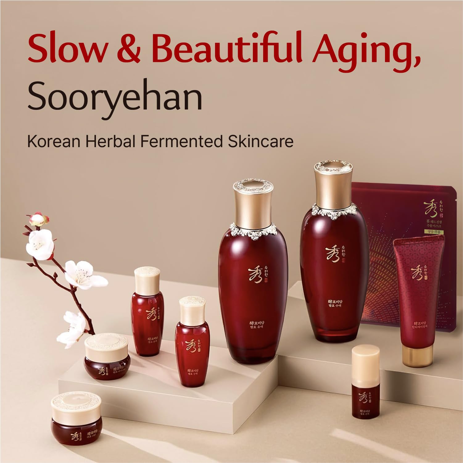Sooryehan Hyobidam Fermented Bundle Gift Set - Sooryehan Official Imagery - 4