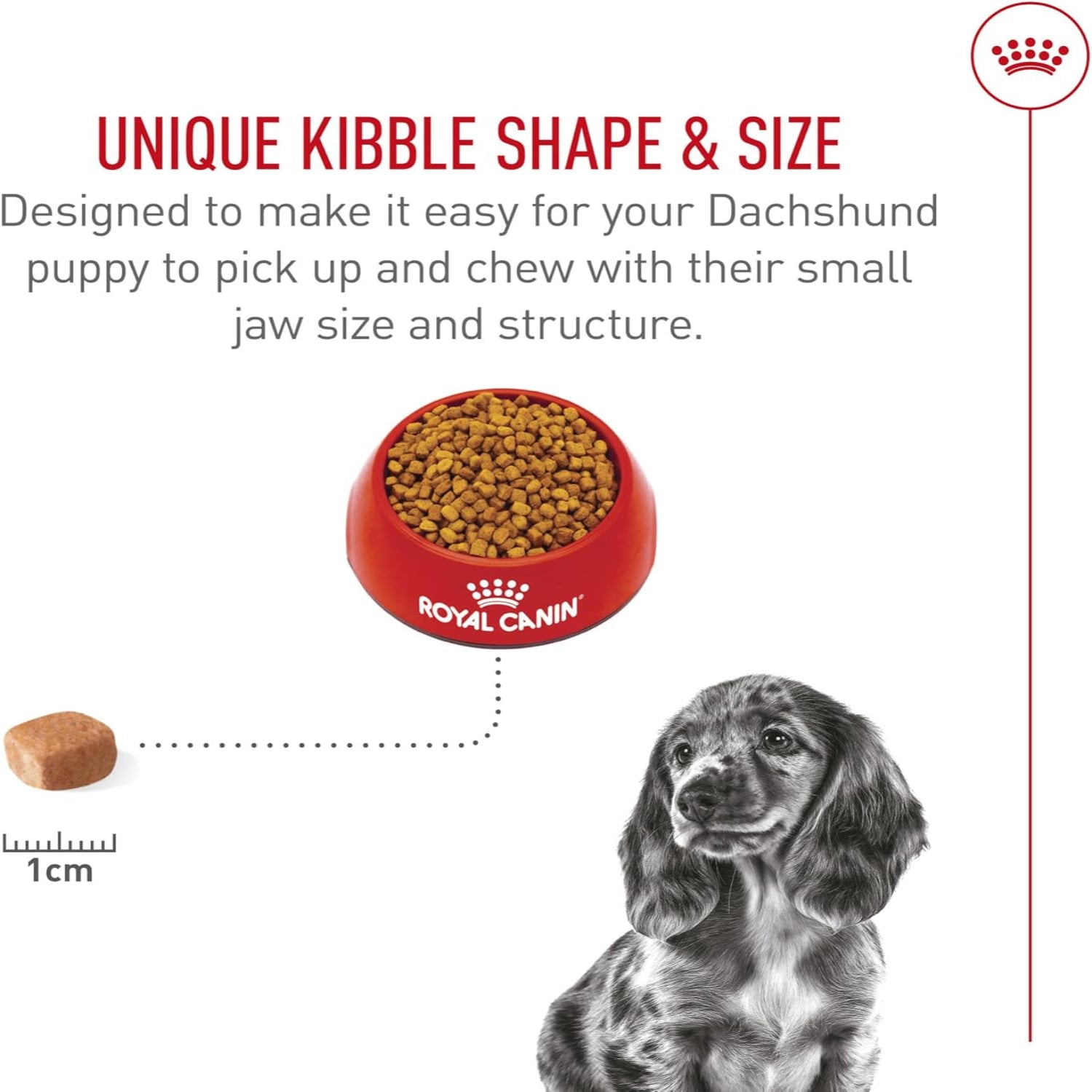 Elefair Royal Canin Dachshund Puppy Dry Dog Food in a 2.5 lb bag, specially formulated for small breed puppy nutrition.