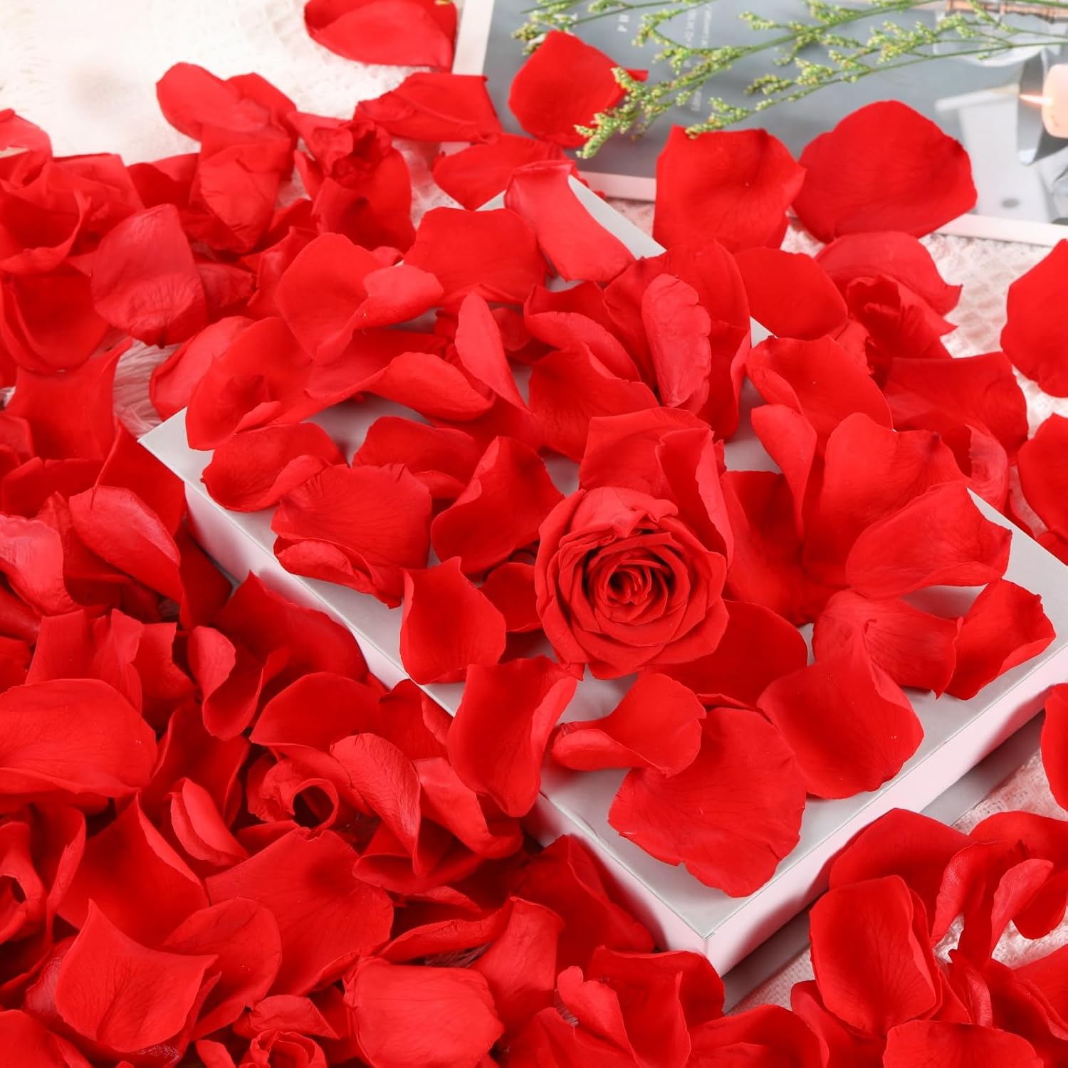 Dried real rose petals by Tavkite, natural preserved dry flower petals ideal for weddings and party decor.