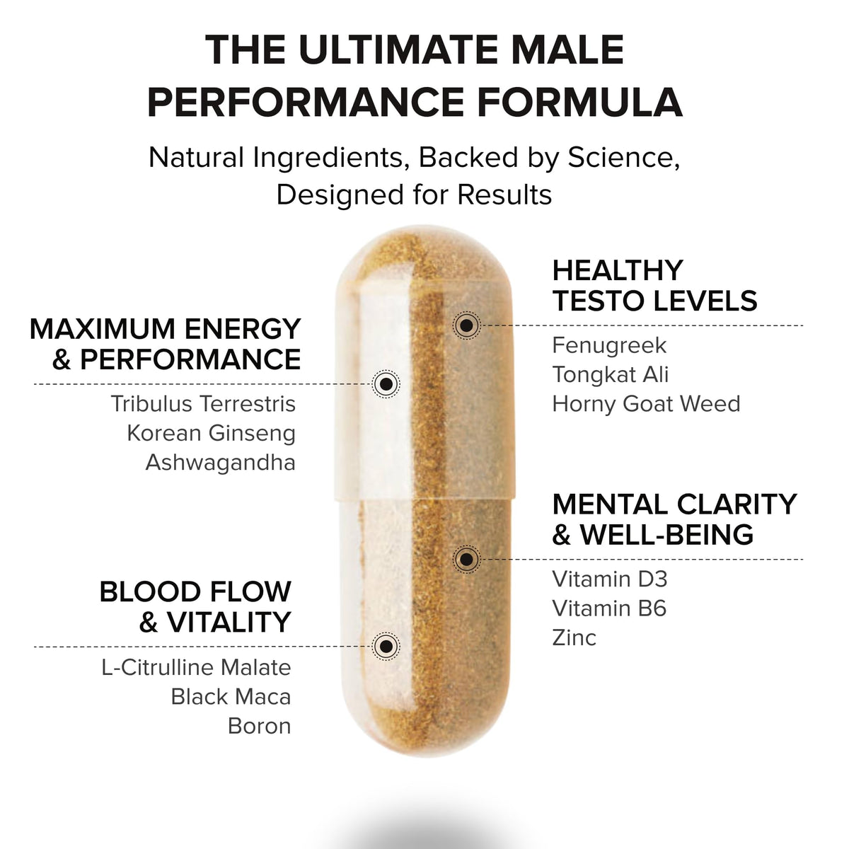 Peak Potential 12 in 1 Testosterone Support for Men - STRIVLABS Official Imagery - 4