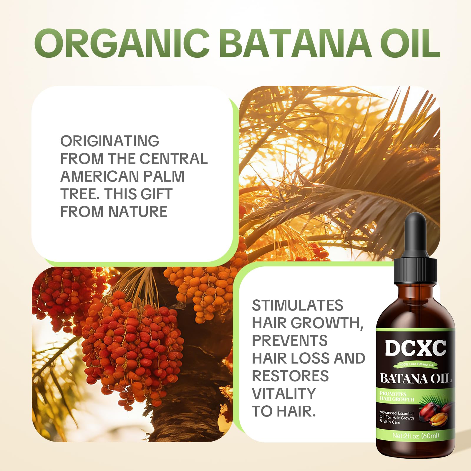 DCXC 100% Pure Batana Oil for Hair Growth - Natural Scalp Care & Hair Thickening T - DCXC Official Product View 5