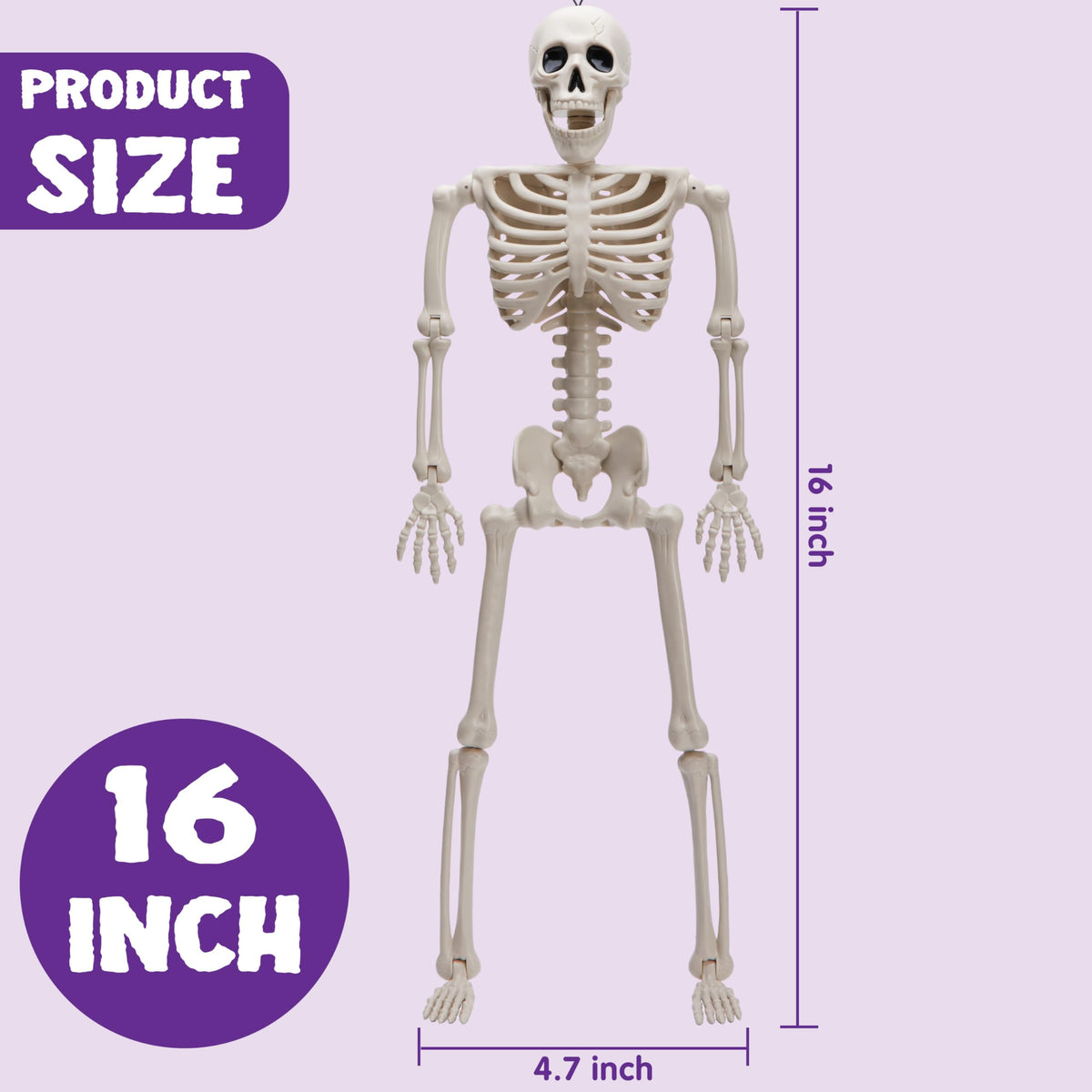 JOYIN 5 PCS Posable Halloween Skeleton Decor 16 Inches Full - JOYIN Official Imagery - 4
