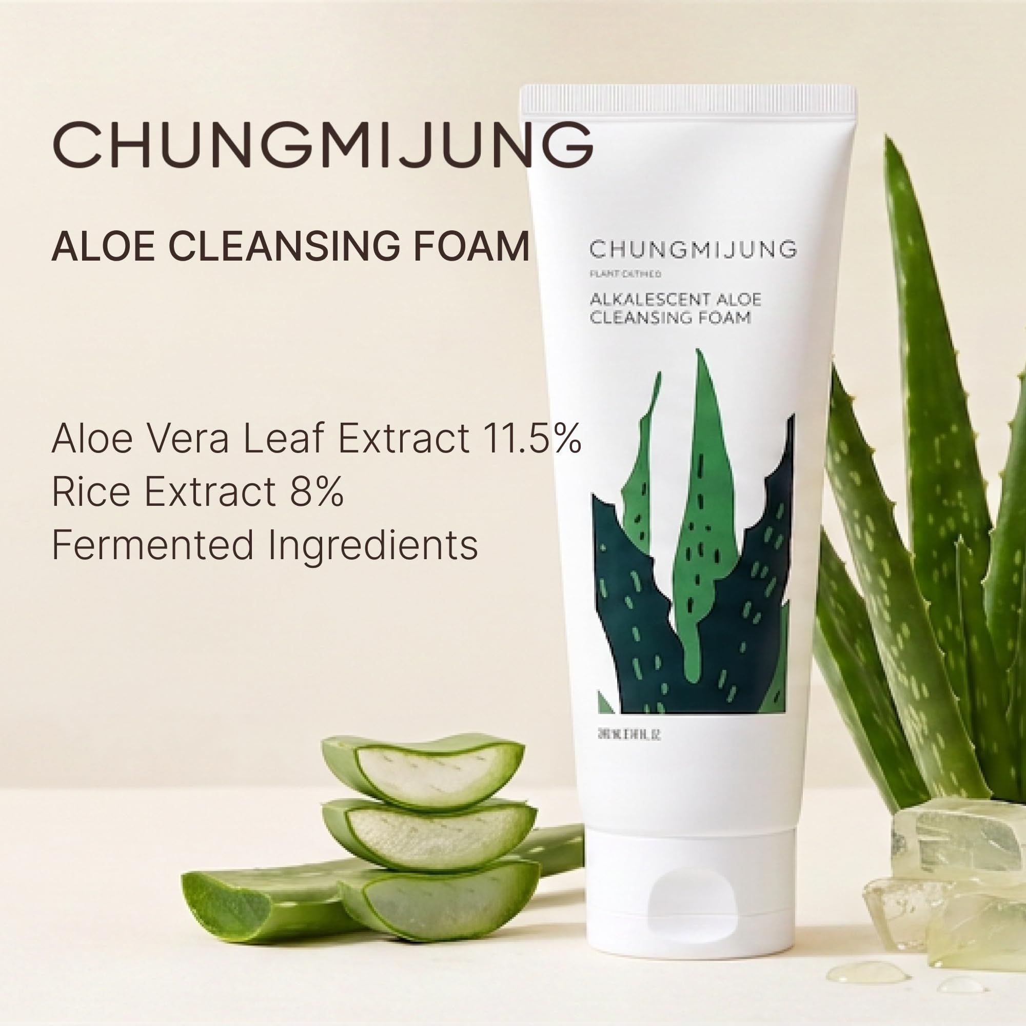 Alkalescent Aloe Cleansing Foam, Deep Cleansing Foam, Blackhead - ChungMiJung