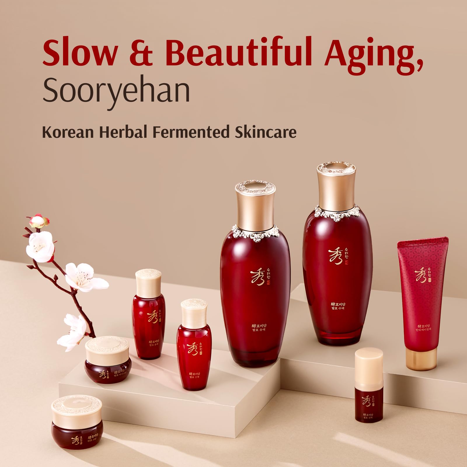 Sooryehan Hyobidam Fermented Skincare Gift Set with Wild Ginseng - Sooryehan