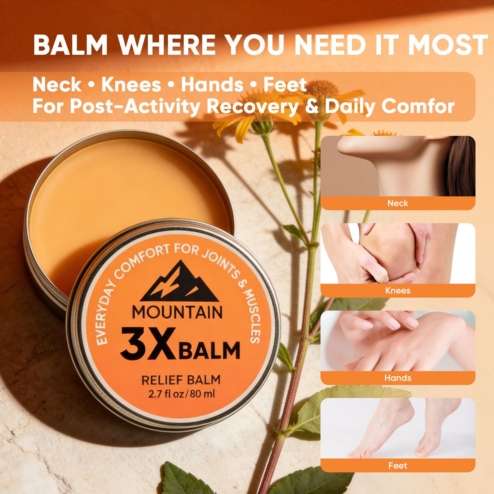 3X Relief Balm, 3X Relief Balms for Joint, Knee, Foot & Back, with Organic Arnica & Camphor - Soothing Care Ointment, Fast Absorbing, Non-Greasy Formula, 2.7fl oz (1)