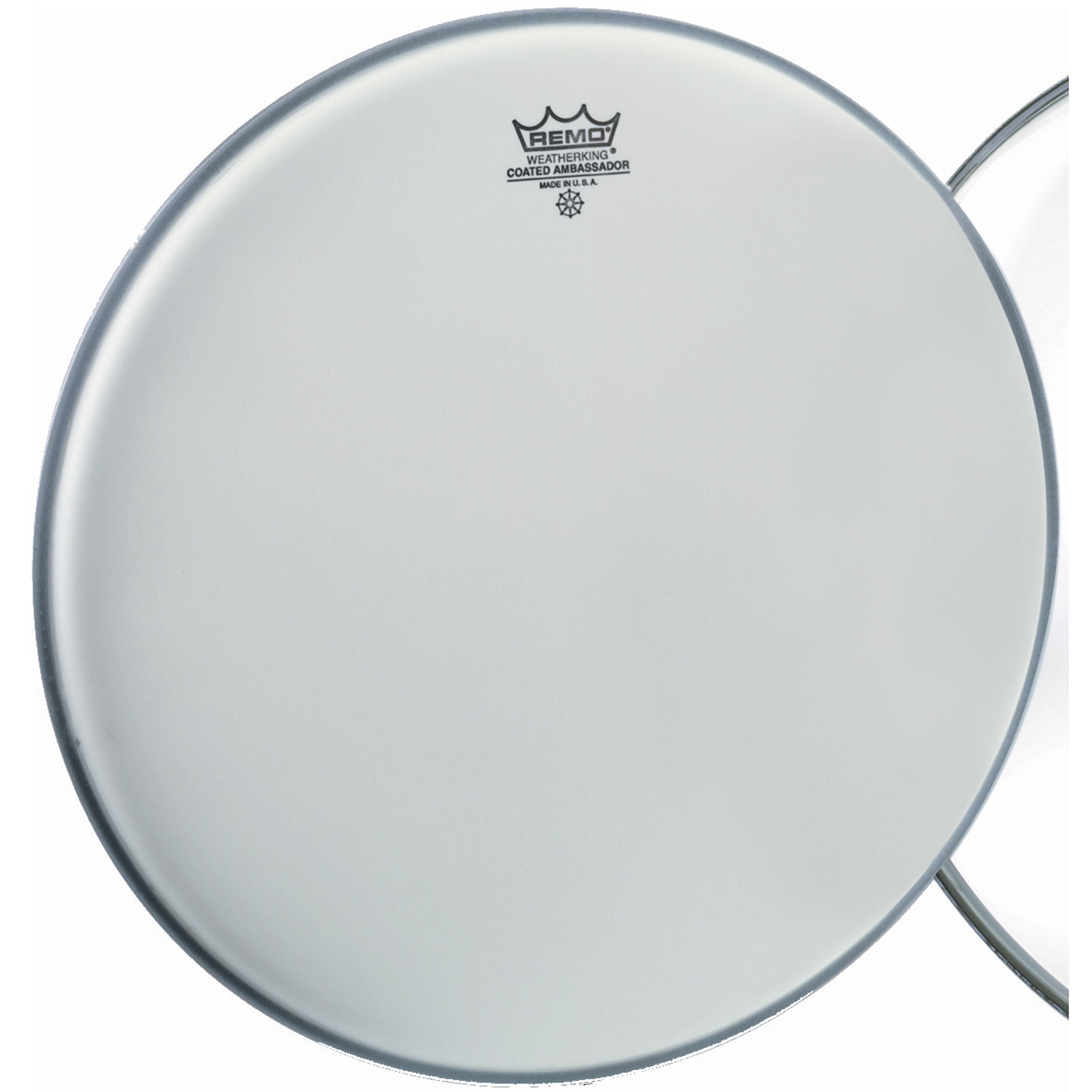 Remo Ambassador Coated Drum Head - 16 Inch - Product Imagery