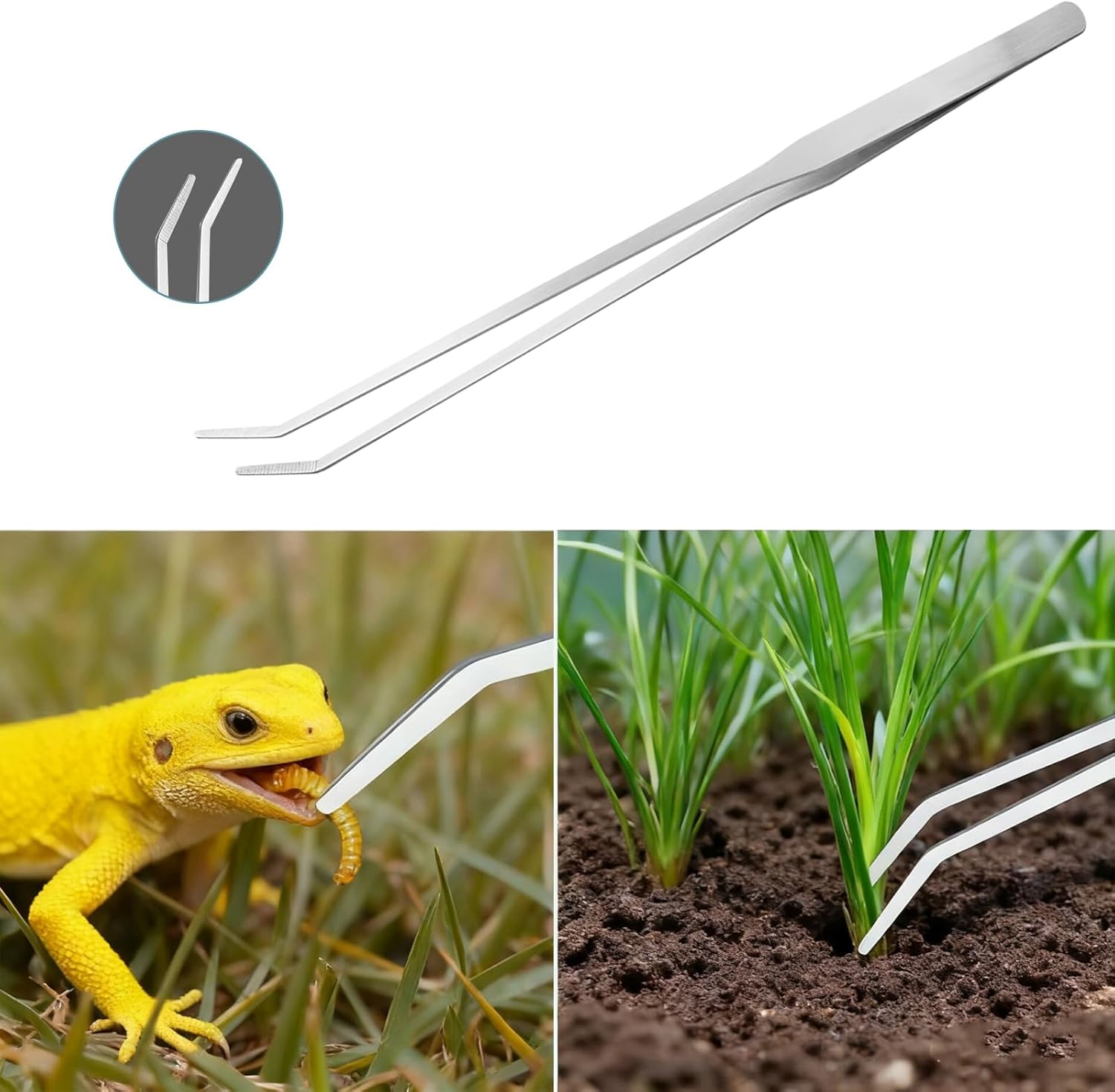 Carefree Fish 7-in-1 aquarium cleaning tools set with long handle, algae scraper, brushes, plant scissors, and tweezers for fish tank care