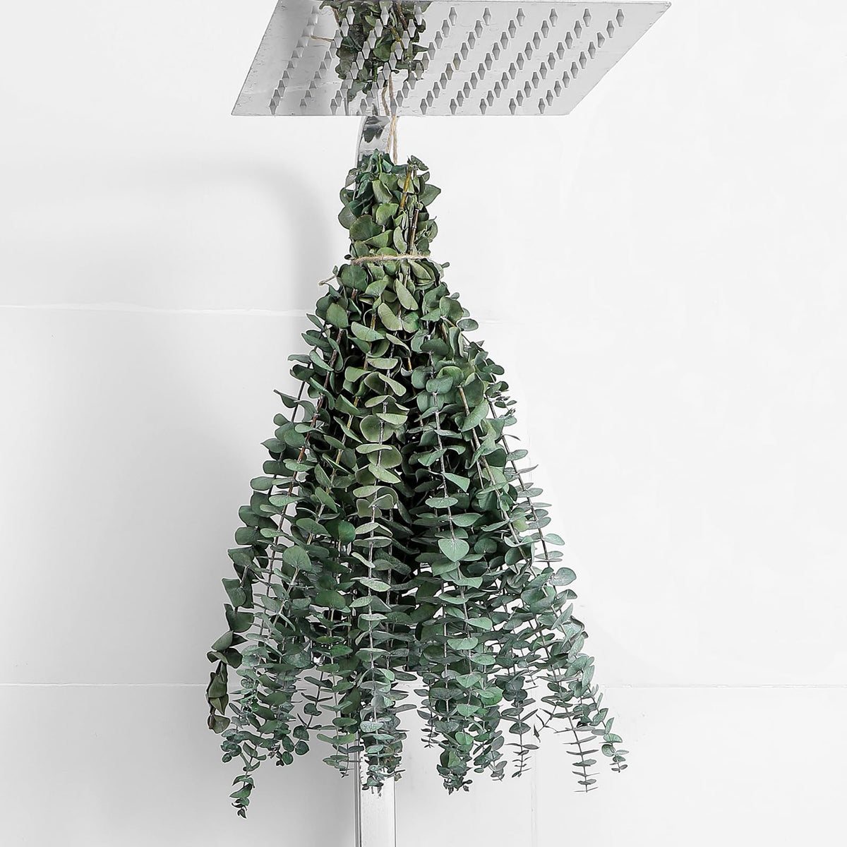 10 Pcs Dried Eucalyptus Stems 17 Real Eucalyptus for Shower - FAVOWREATH Official Imagery - 1
