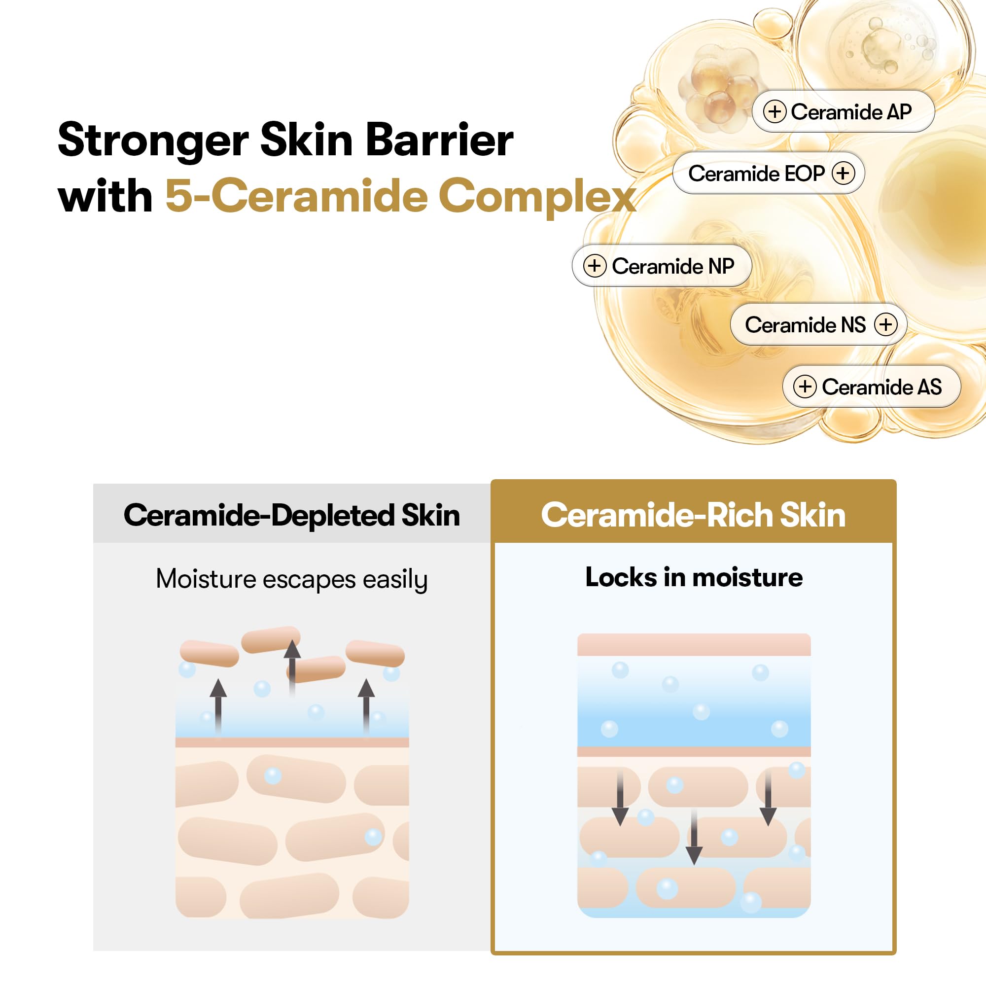VT COSMETICS Rice Ceramide Capsule Cream 1 69fl oz - VT COSMETICS Official Imagery - 5