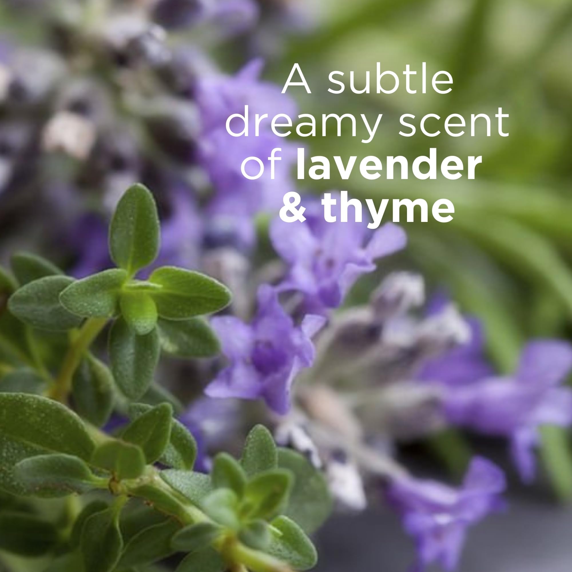 Andalou Naturals Lavender Thyme Body Lotion, Hydrating Moisturizer 8 oz - Andalou Naturals Official Product View 5