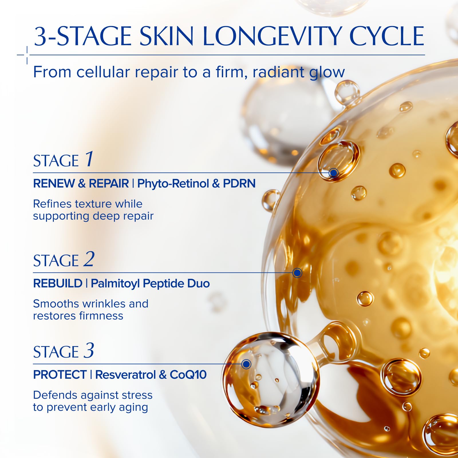 PDRN Serum with Salmon DNA Peptide Retinol CoQ10 - EXPRESSIONS WELLNESS Official Imagery - 6