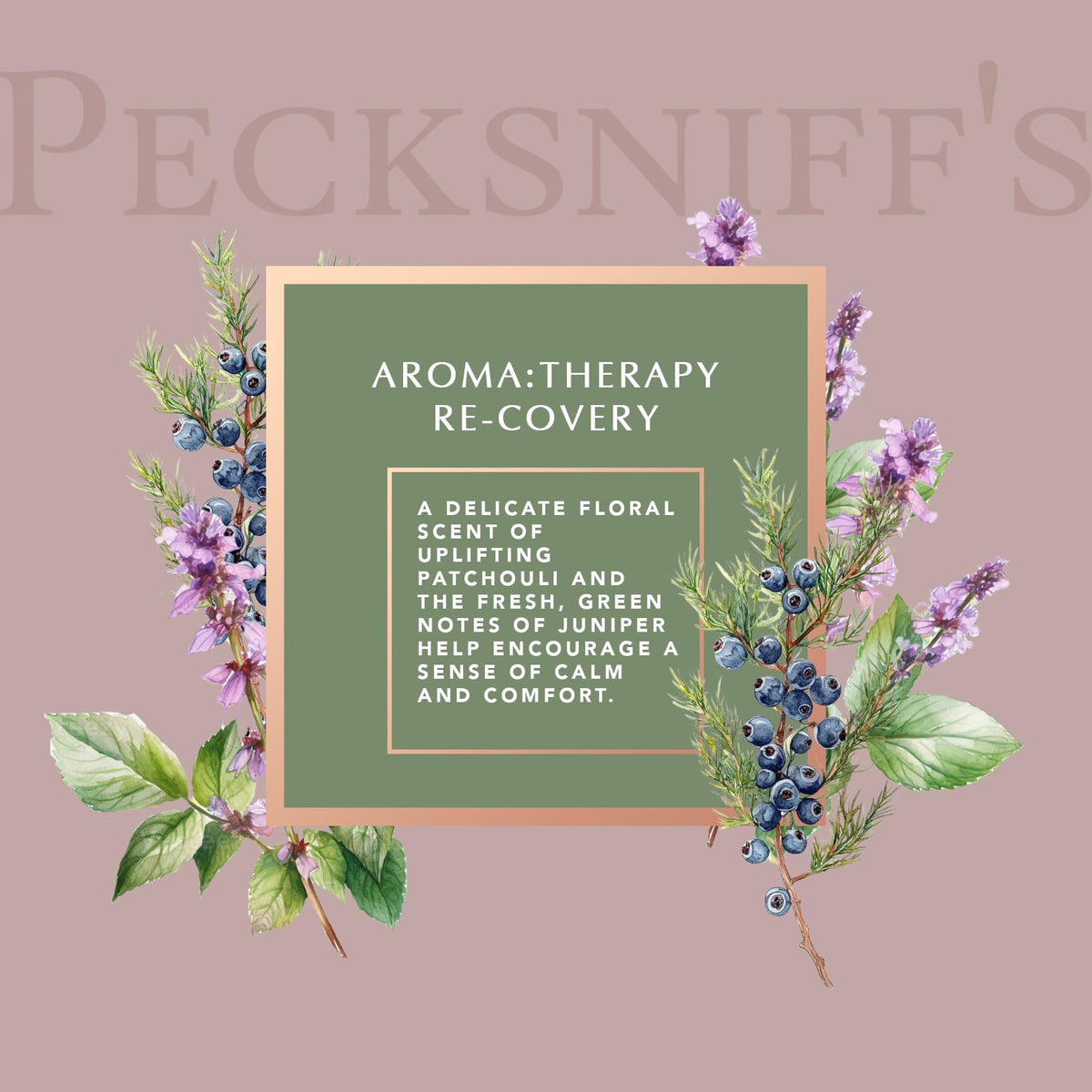 Pecksniff s Aroma Therapy ReCovery Shower Gel Luxurious - Pecksniff's Official Imagery - 5