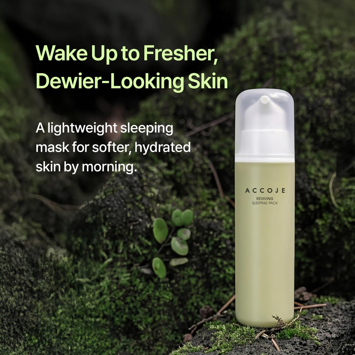 Reviving Sleeping Pack Jeju Honey Propolis Hydrating - ACCOJE Official Imagery - 3