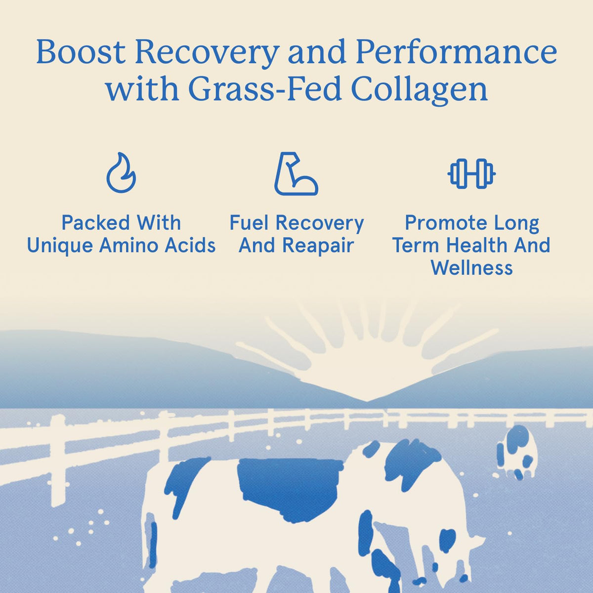 Equip Foods Grass Fed Collagen Powder - Equip Official Imagery - 5