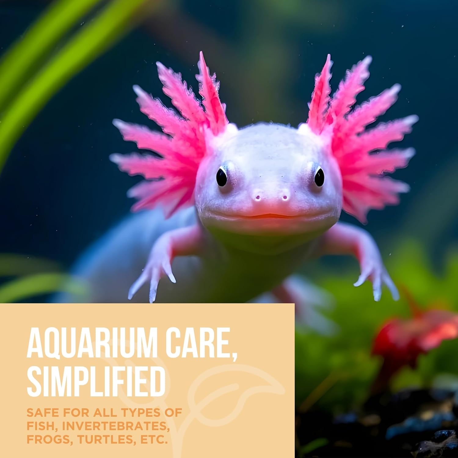 Natural Rapport Aquarium Water Conditioner bottle showing label, used for detoxifying and removing ammonia from fish tanks.