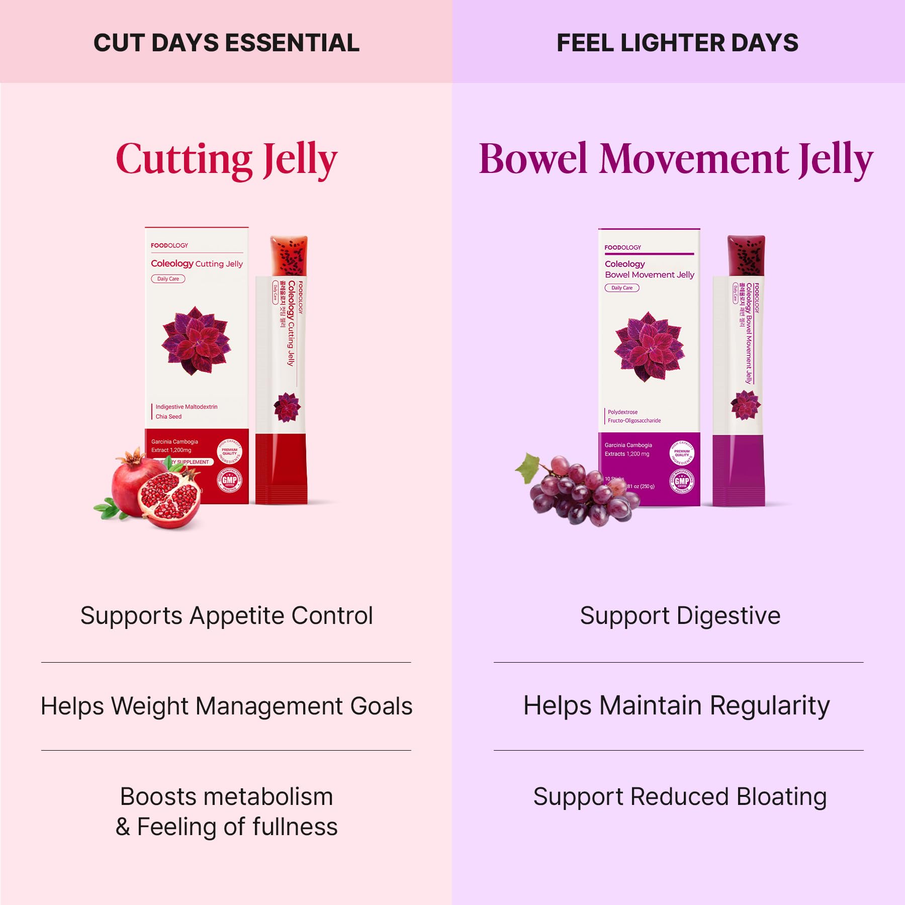 FOODOLOGY Garcinia Twin Jelly: Cutting & Bowel Movement Jelly, Dietary - View 5