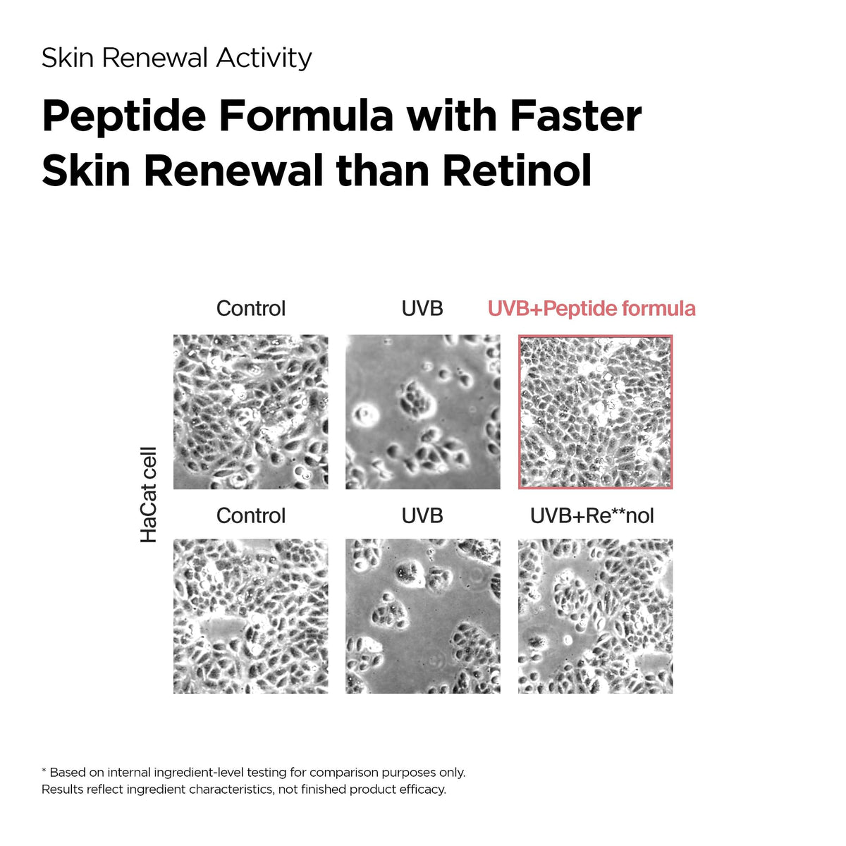 PURCELL 82 High Dose Peptide Essence Serum Anti Aging 1 01 - PURCELL Official Product Imagery - 7
