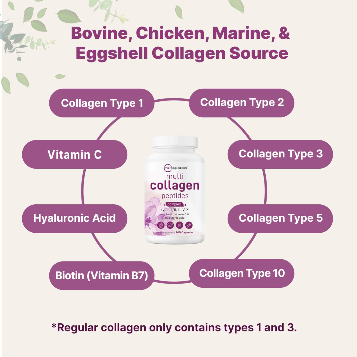 Micro Ingredients Multi Collagen Peptides Pills 240 Capsules - Micro Ingredients Official Imagery - 4