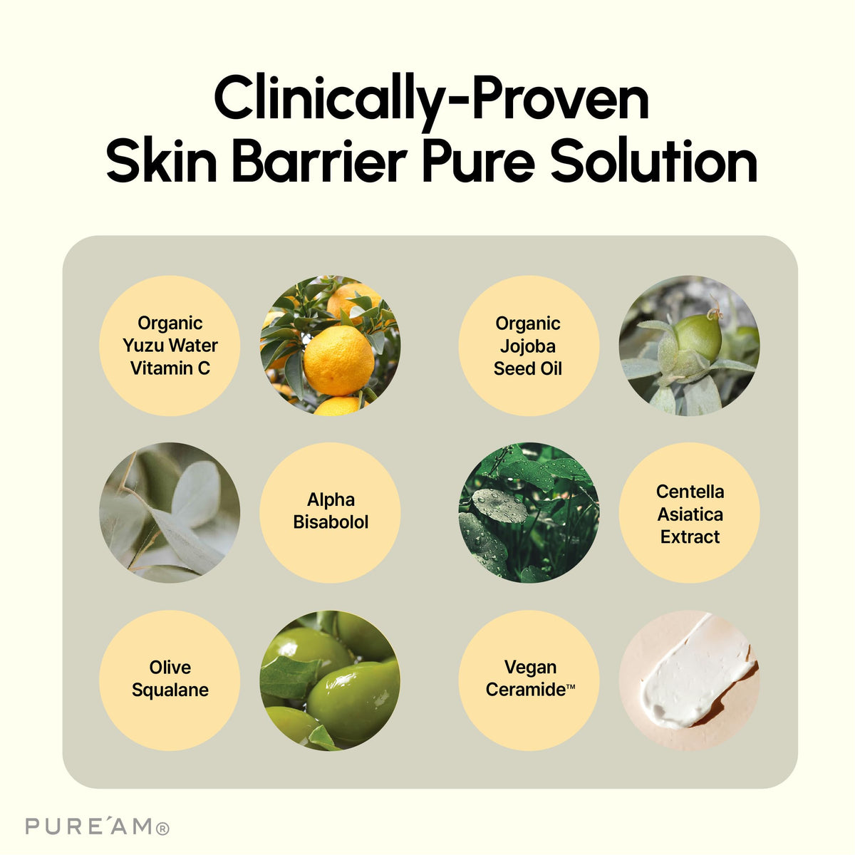 PURE AM Authentic Korean Barrier Cream Balm Moisturizer 2 5 - PURE'AM Official Imagery - 4