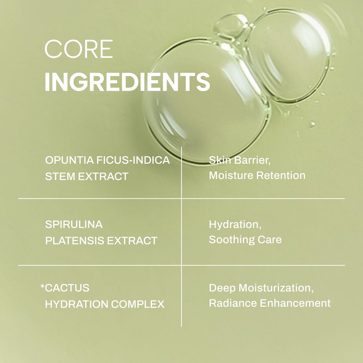 Whamisa Organic Cactus Bouncy Serum 48 hrs Inner Skin - Whamisa Official Imagery - 7