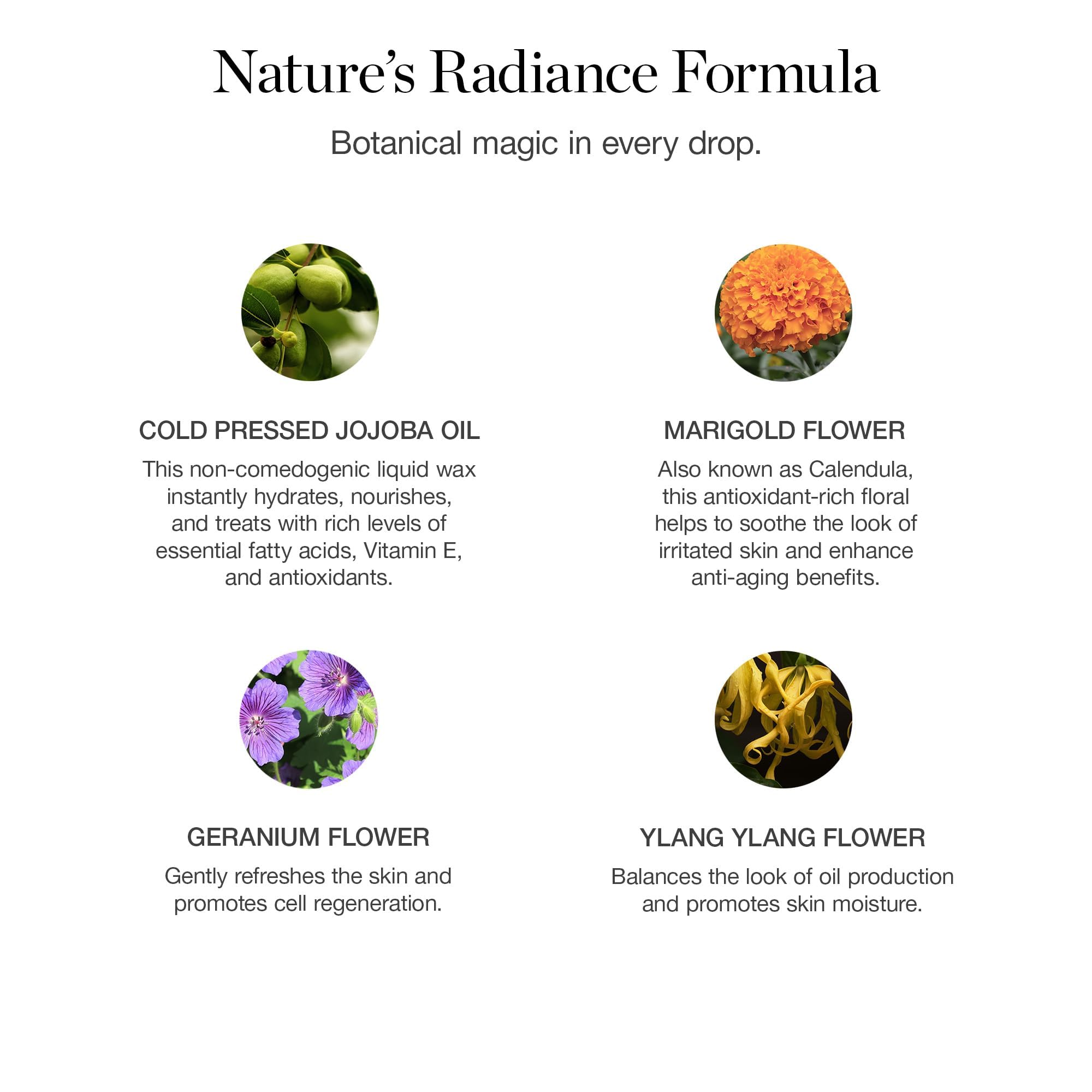 Ogee Jojoba Glow Face Oil, - Organic Moisturizing Facial Oil & - Ogee Official Product View 3