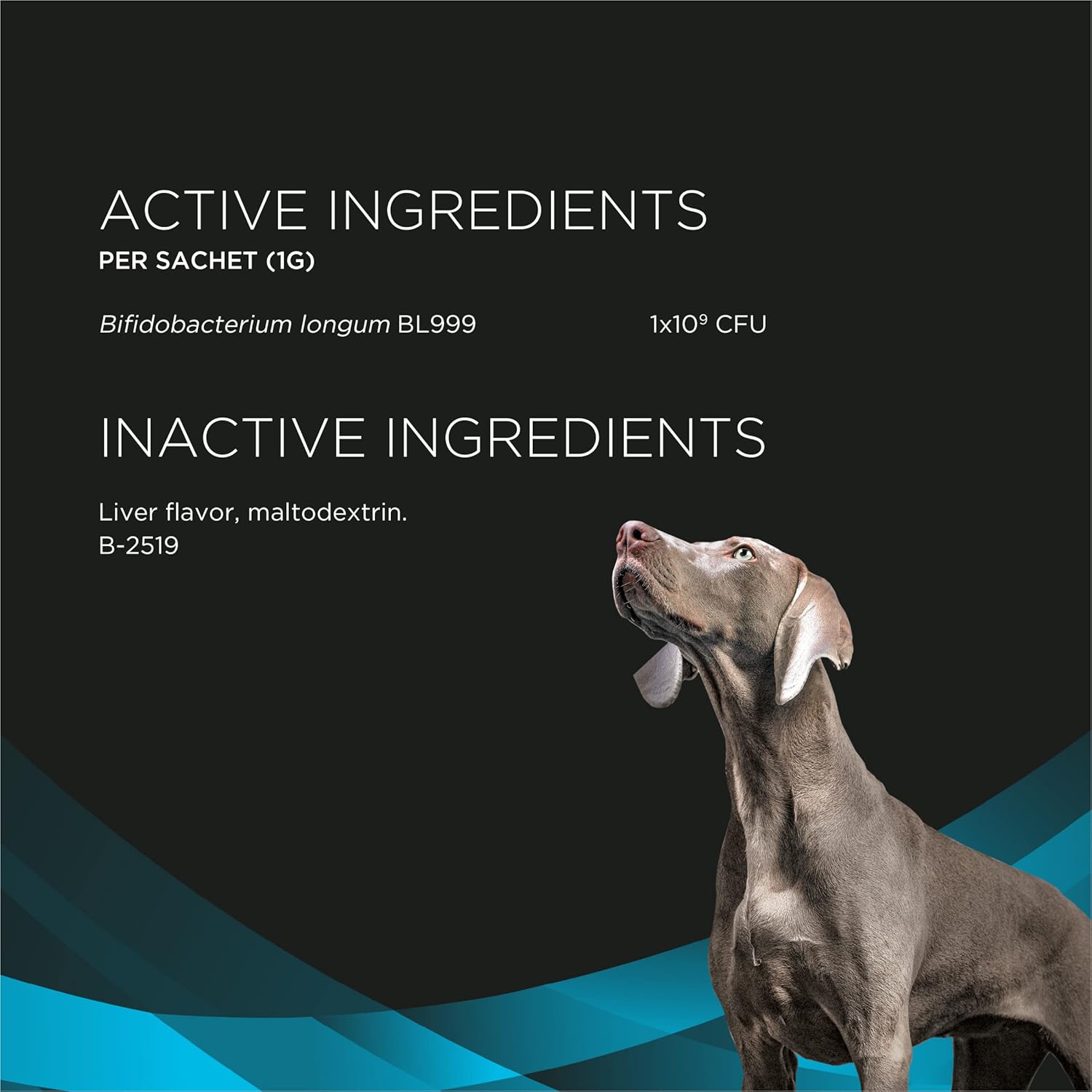 Pro Plan Veterinary Diets Calming Care supplement for dogs, featuring calming ingredients in a container with label.