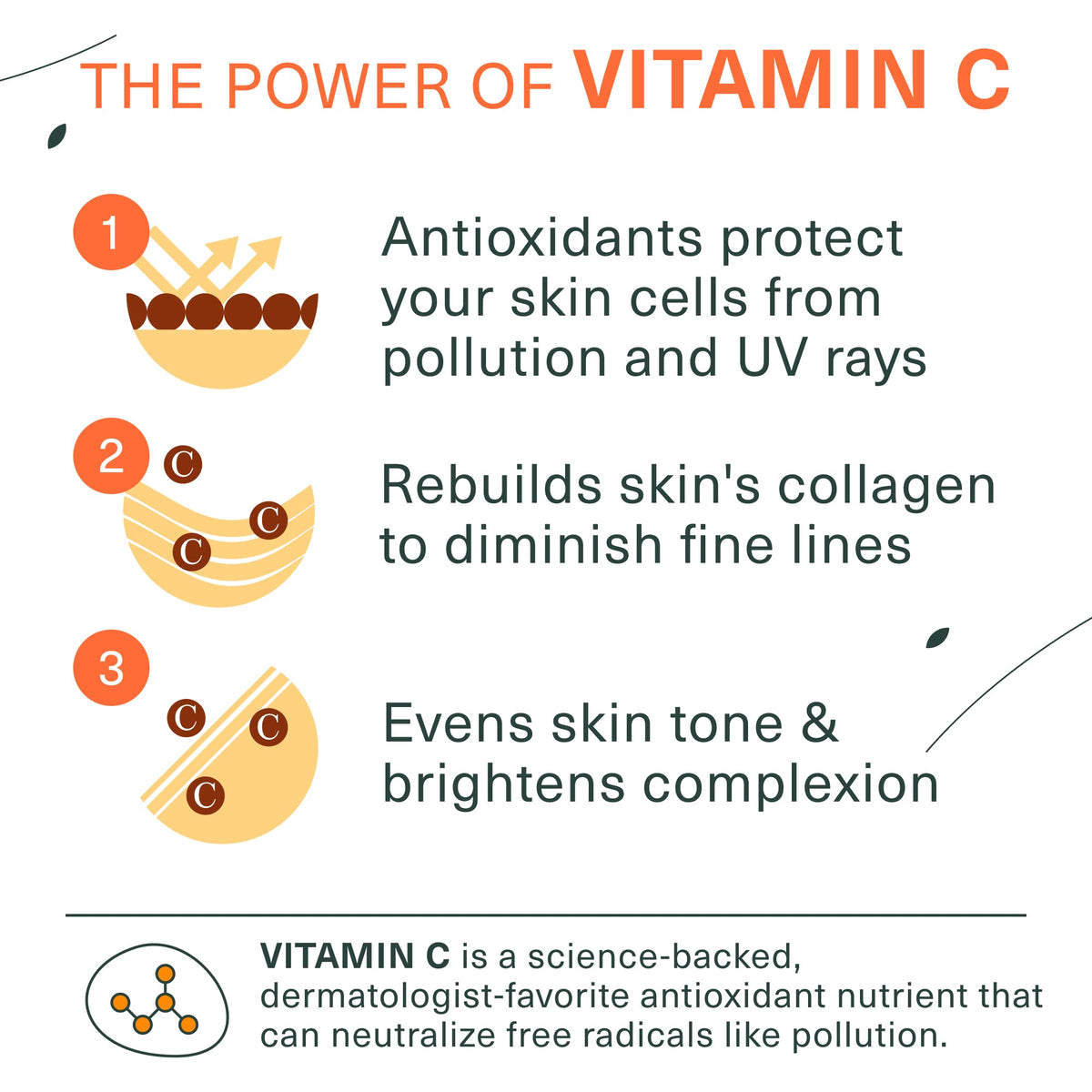 Botanic Tree Vitamin C Face Wash - Botanic Tree Official Imagery - 3