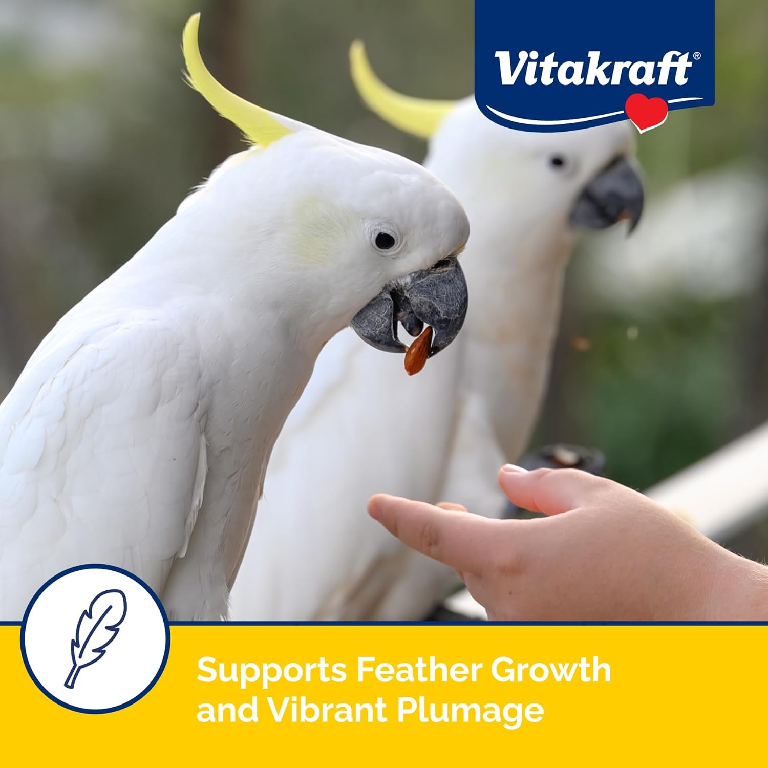 Vitakraft Vita Smart parrot food in a 7 lb bag, featuring colorful bird seeds and pellets for healthy avian nutrition.