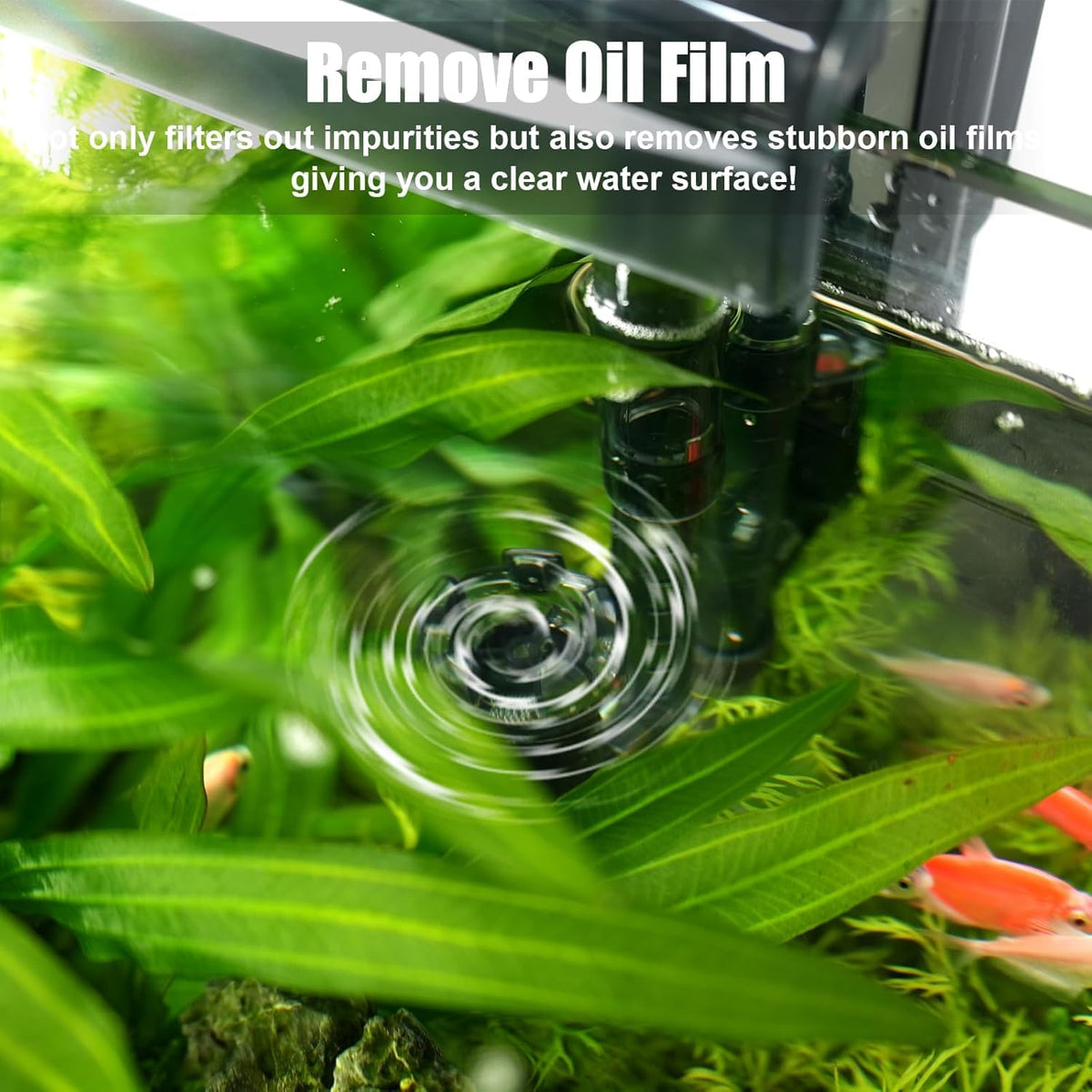 AQQA Aquarium Filter 10 30 Gallon Fish Tank Filters with Bio - AQQA Official Imagery - 5
