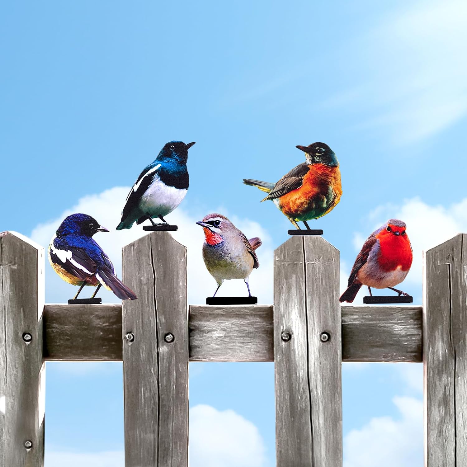 Set of five vivid metal bird fence decor pieces by HUYIENO, painted in bright colors for outdoor garden decoration.