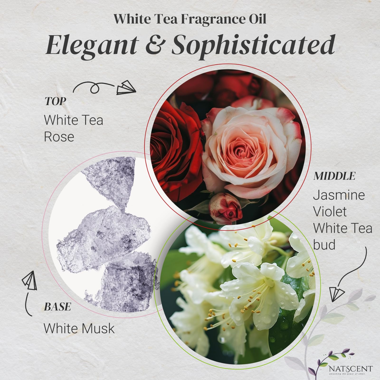 White Tea Diffuser Oil for Home Hotel Inspired Essential Oil - Natscent Official Imagery - 5