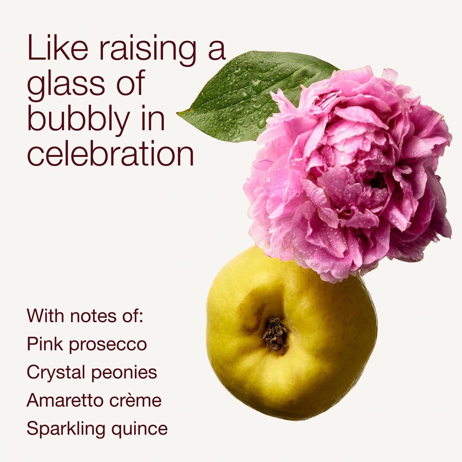 Bath & Body Works A Thousand Wishes Body Lotion, Lightweight Daily Moisturizer with Shea Butter & Coconut Oil, Sparkling Prosecco & Peony Scent, 8 fl oz - 2 Pack - Bath & Body Works Official Product View 4