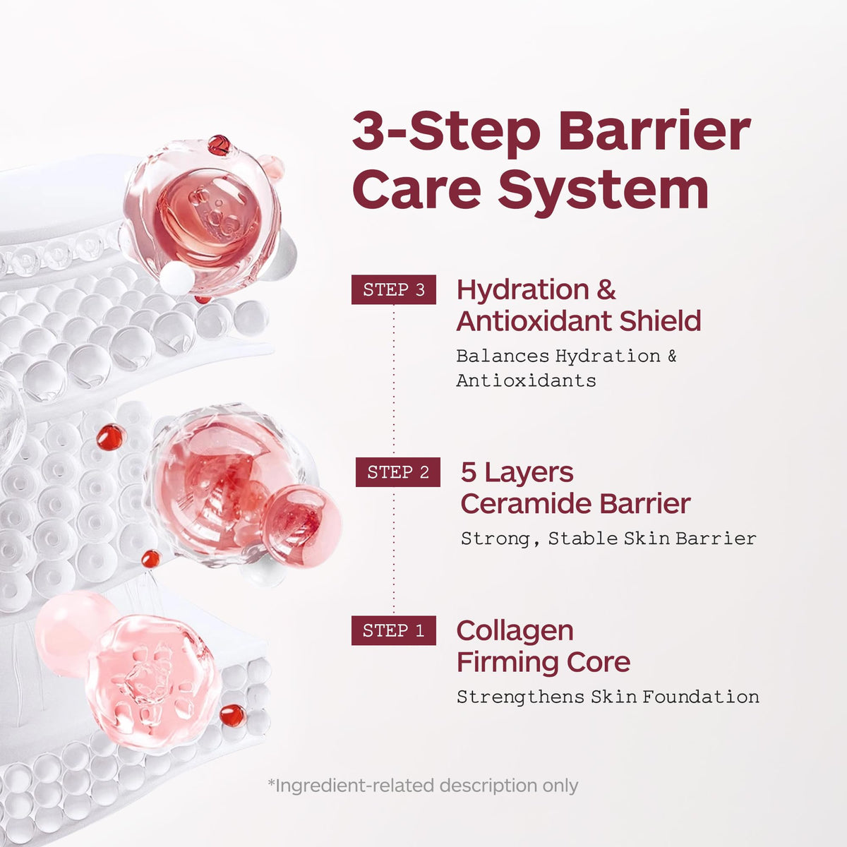 Peptide Repair Cream High Concentration Premium Regeneration - LISSEDERM Official Imagery - 7