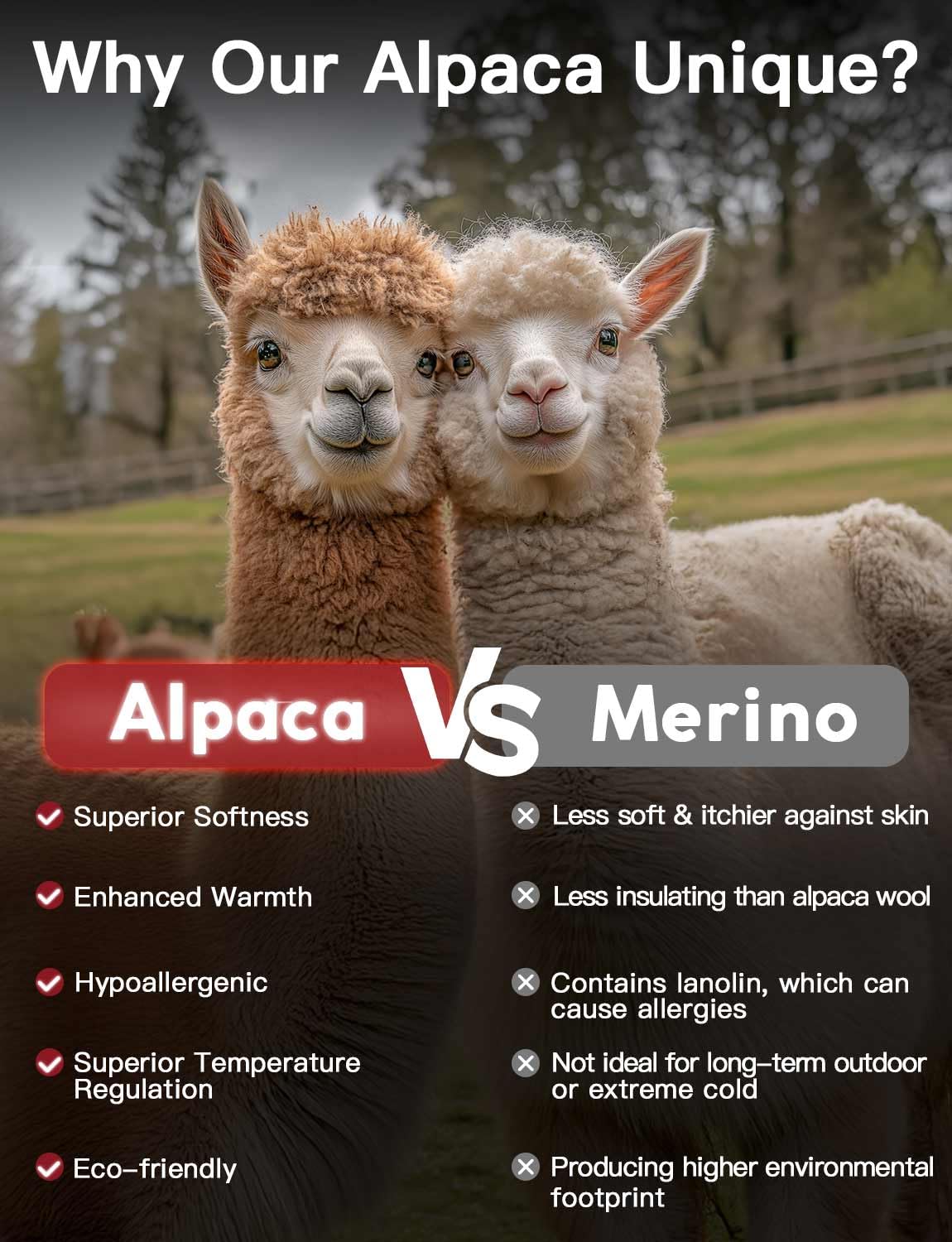 Juclise Baby Alpaca Wool Midweight Micro Crew Socks for Men - Juclise Official Imagery - 6