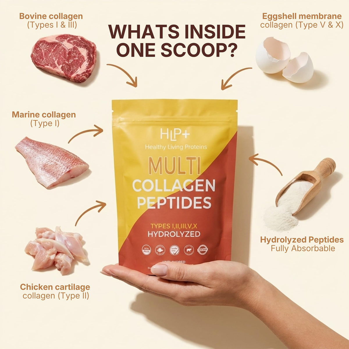 Healthy Living Proteins - HLP Healthy Living Proteins Official Imagery - 6