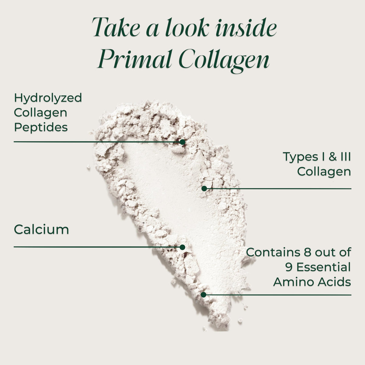 Primal Harvest Collagen - Primal Harvest Official Imagery - 4