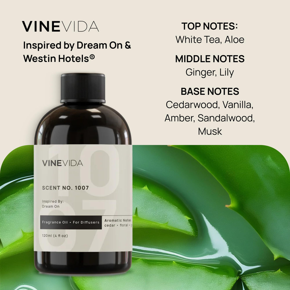 VINEVIDA Studio Waterless Diffuser and 3 Hotel Fragrance - VINEVIDA Official Imagery - 6